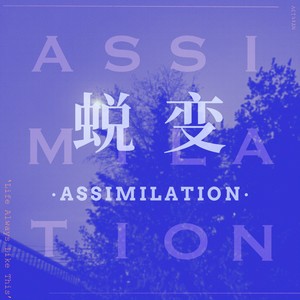 蜕变（Assimilation）