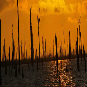 Di Lobi Ang Tjika Ame Rb Bon