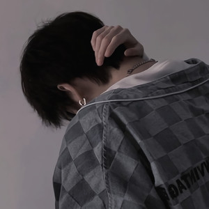 夜的钢琴曲5封面