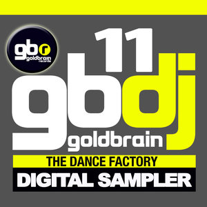 Goldbrain Dj 11 Digital Sampler