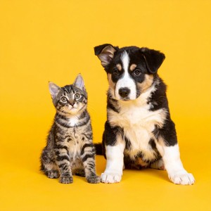 Dormitando Entre Ritmos Suaves