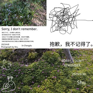 抱歉，我不记得了。