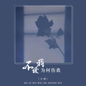 不爱我为何伤我