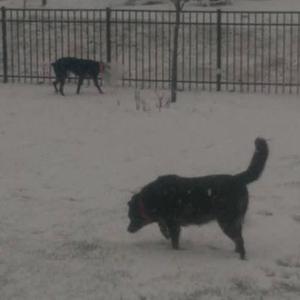 The blue pool (Interlude) (Explicit)