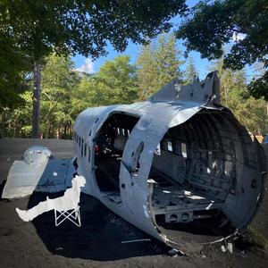 live free or die (Live)