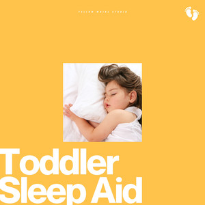 Toddler Sleep Aid