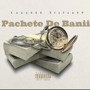 Pachete De Bani (feat. $tefan69 & xopurpp) [Explicit]