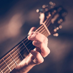 Soothing Pet Harmony