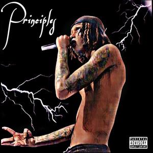 Principles (Explicit)