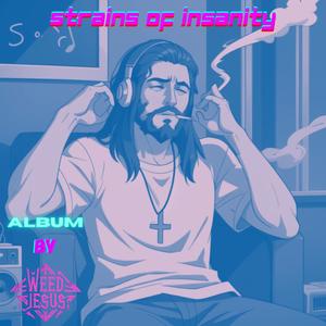 So Many Crazy Things (feat. Ryini Beats) (Explicit)