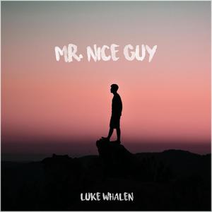 Mr. Nice Guy