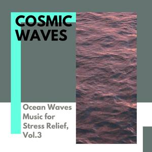 Ocean Waves Hub