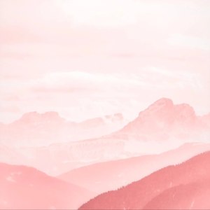 丹歌惊鸿 (张新 Remix)
