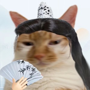 牵丝戏（哈基米）