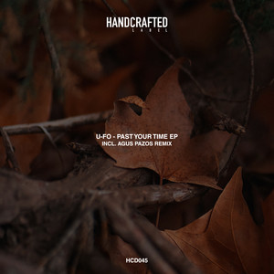 Past Your Time (Original Mix)