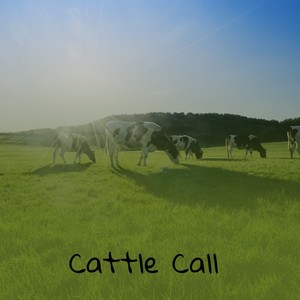 Cattle Call