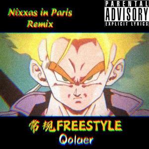 Jay-Z-常规FREESTYLE (Qolaer remix)