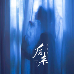 后来 (我总算学会了如何去爱)