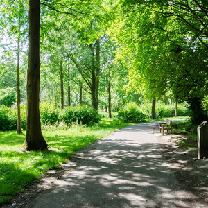 ﾏﾀｲﾂｶ(カバー) (会在某一天)