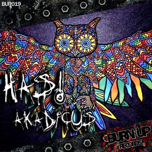 Akadicus The Remixes