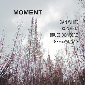 Night Sky Questions (feat. Ron Getz, Bruce Dondero & Greg Vadnais)