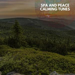 Spa And Peace Calming Tunes