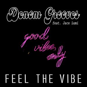 Denom Grooves - Feel the vibe (feat. Jace Lumi)