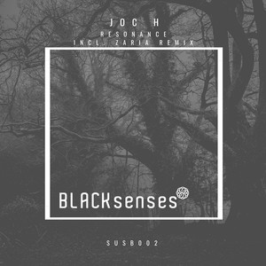 Resonance (Original Mix)