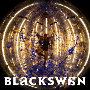 블랙스완 (Black Swan)