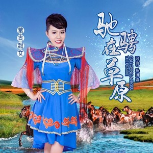 驰骋在草原