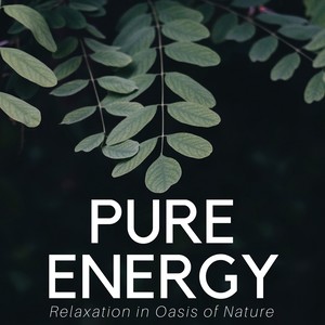 Pure Energy: Relaxation in Oasis of Nature, Keep Calm, Zen Dimension, Relaxing Meditation Music