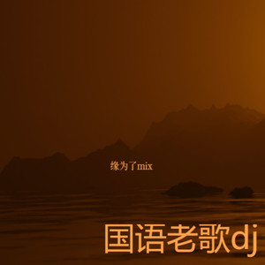 狼爱上羊 爱的疯狂 (缘为了mix|安儿陈 remix)封面