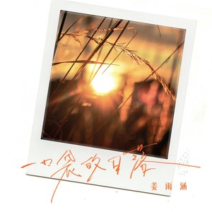 姜雨涵 - 一口袋的日落 (DJ九零版)