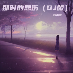 那时的悲伤 (DJ版)