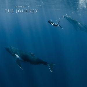 The Journey (Extended Release)