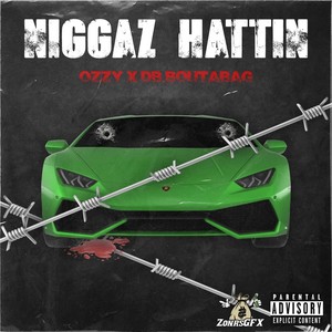 Niggaz Hattin (feat. Db Boutabag) [Explicit]