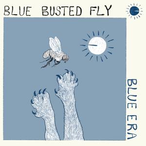 Blue Busted Fly