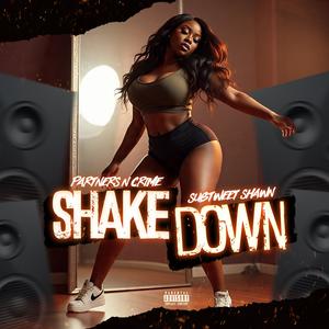 ShakeDown (feat. Subtweet Shawn) (Explicit)
