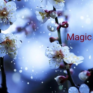 Magic