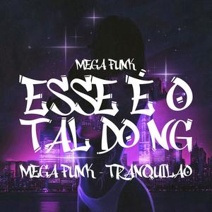 MEGA FUNK TRANQUILAO