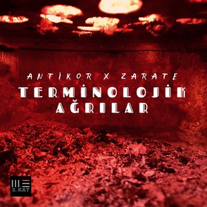 Terminolojik Ağrılar (Explicit)