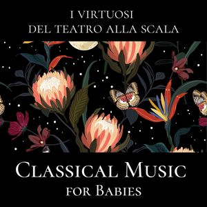 Classical Music for Babies, Vivaldi: Il Gardellino - Mozart: Kindersinfonie (Live Recording)