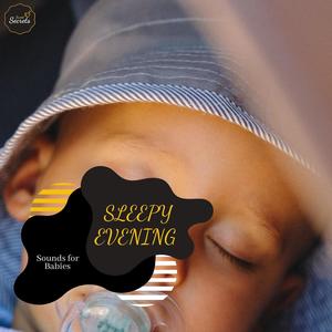 The Wonderland Of Dreams