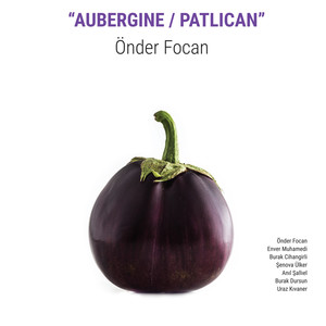 AUBERGINE