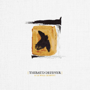 Thibaud Defever