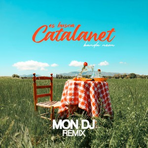 Es busca catalanet (Mon DJ Remix)