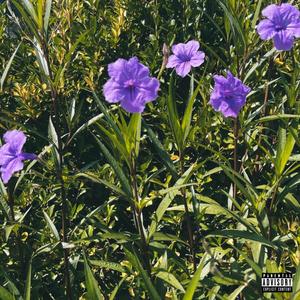 Let Me Breathe (Explicit)