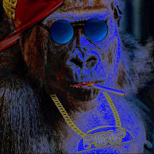 Coldest Tint (Explicit)
