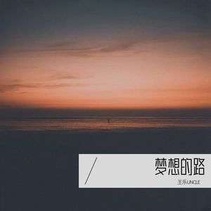 梦想的路