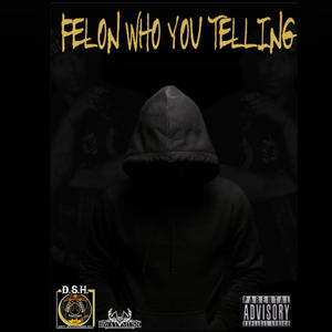 Felon who you telling (Explicit)